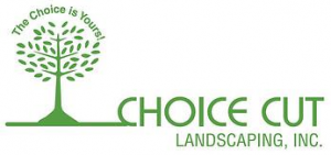 choice cut logo